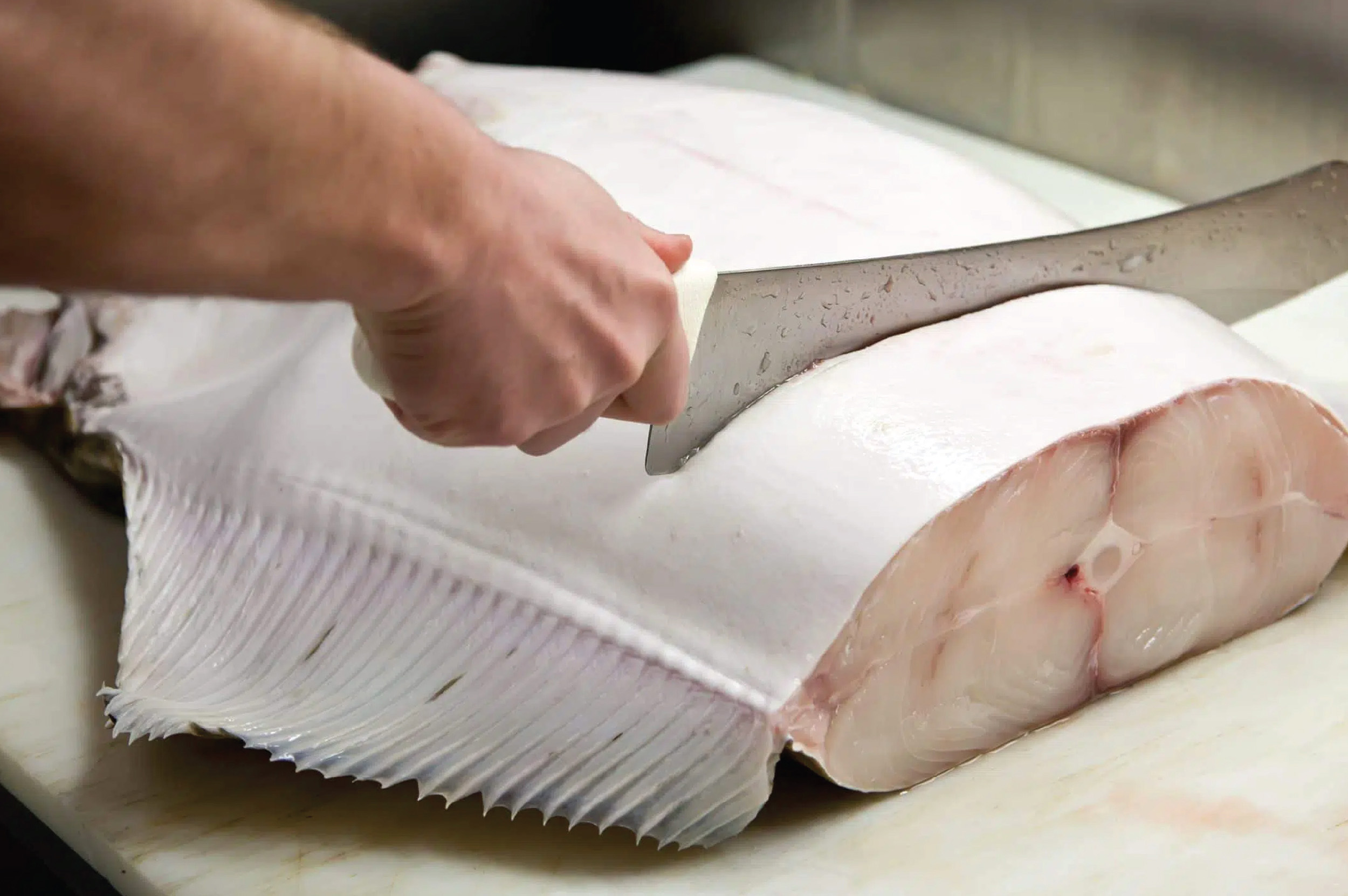 Design and production by Ron Wan Featuring Fishmonger William & Wilma hosted at Honbo in Wan Chai, Hong Kong.