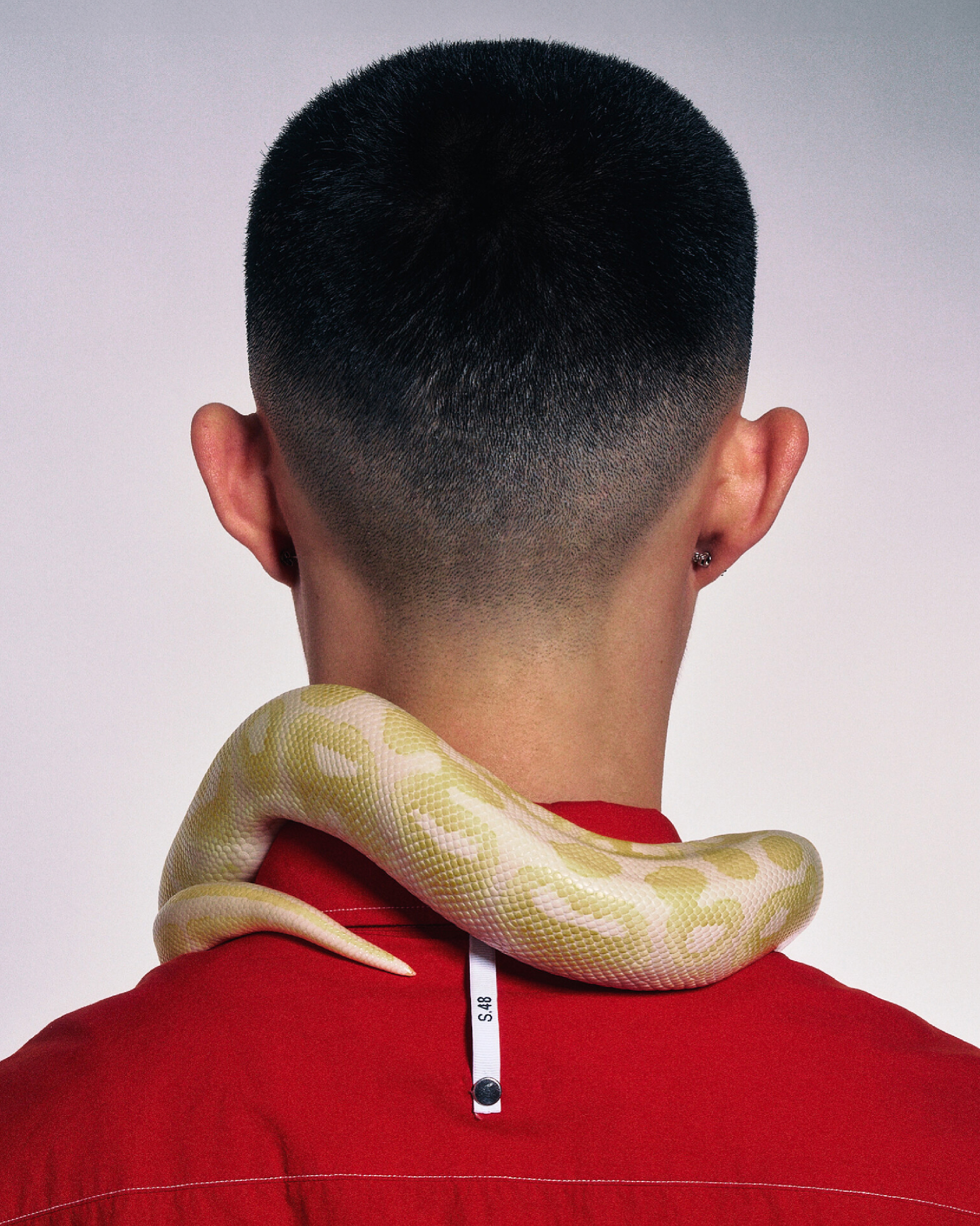 Snakeboy by Ron Wan and Kim 35. Formulated by Jerico Ma. Featuring Luke Harris, Pete, and Sid.